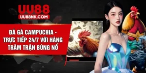 Đá Gà Campuchia - Trực Tiếp 24/7 Với Hàng Trăm Trận Bùng Nổ
