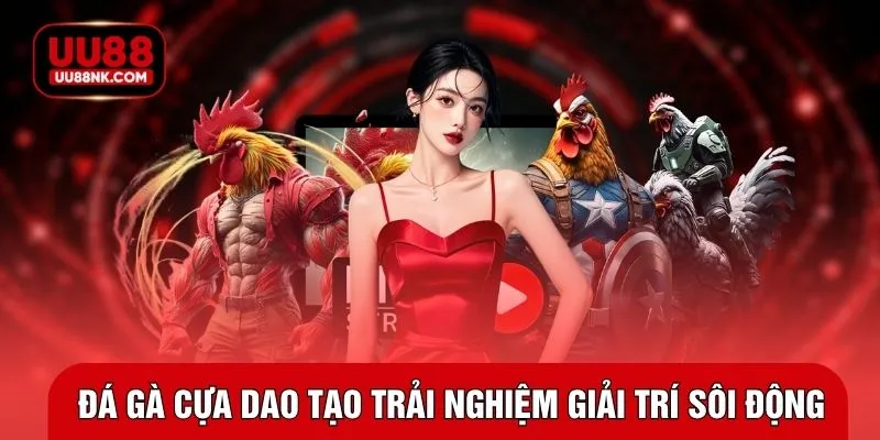 Đá gà cựa dao tạo trải nghiệm giải trí sôi động