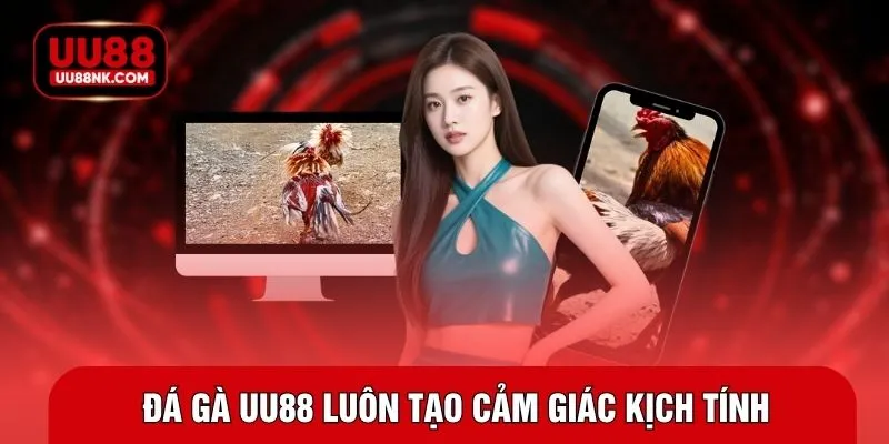 Đá gà UU88 luôn tạo cảm giác kịch tính
