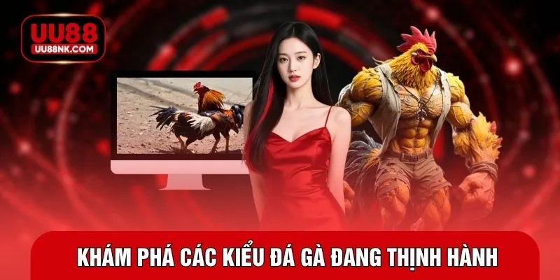 Khám phá các kiểu đá gà đang thịnh hành