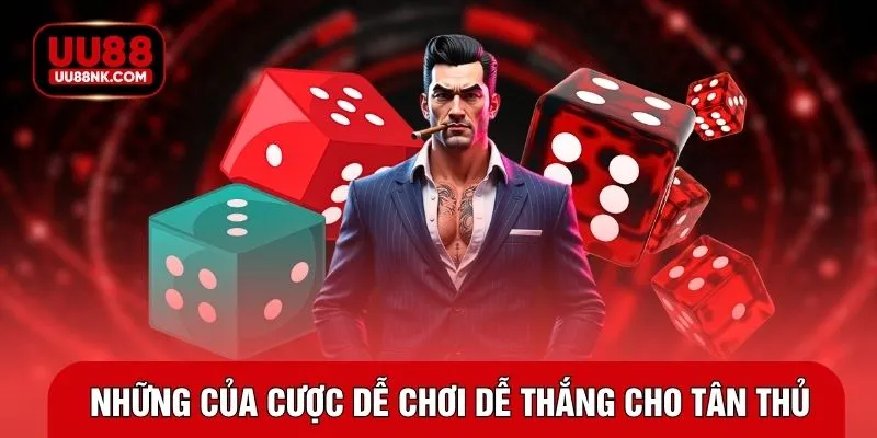 Những của cược dễ chơi dễ thắng cho tân thủ