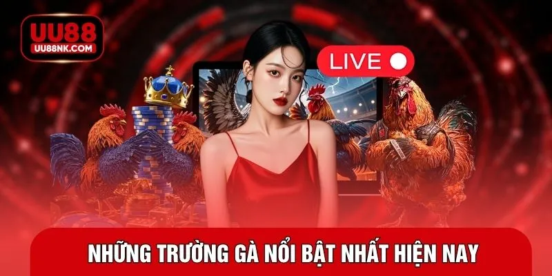 Những trường gà nổi bật nhất hiện nay